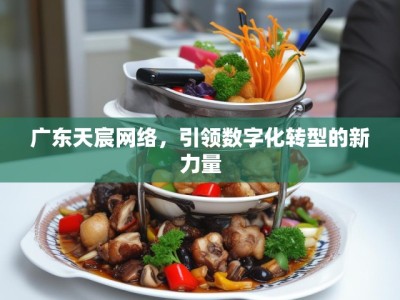 广东天宸网络,引领数字化转型的新力量