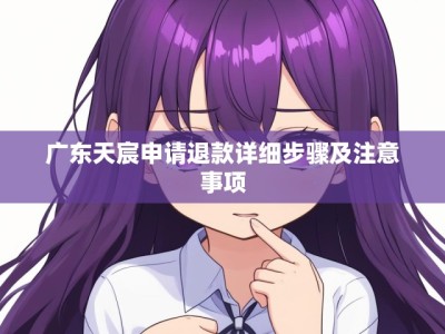 广东天宸申请退款详细步骤及注意事项