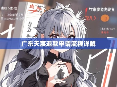 广东天宸退款申请流程详解