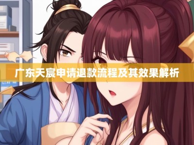 广东天宸申请退款流程及其效果解析