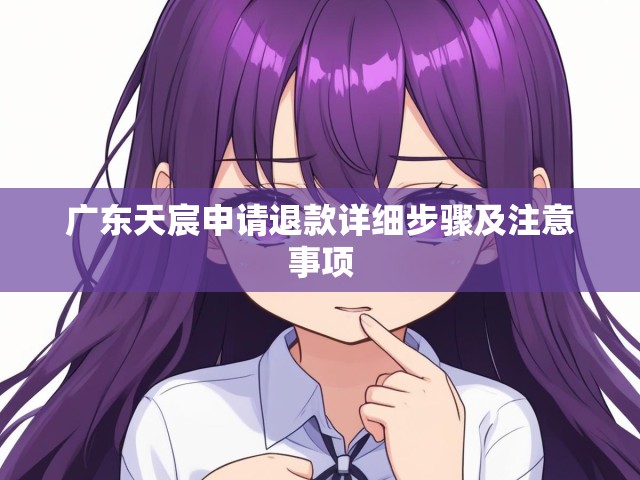 广东天宸申请退款详细步骤及注意事项