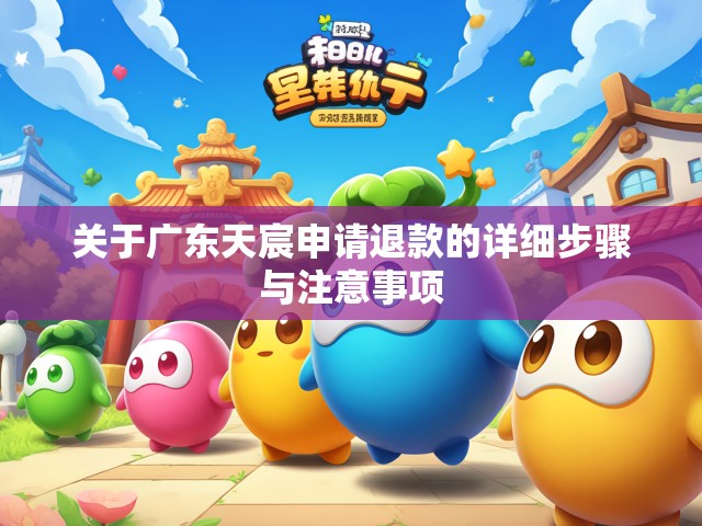 关于广东天宸申请退款的详细步骤与注意事项